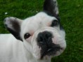 /album/maja-a-spol/fotecky-085-jpg2/